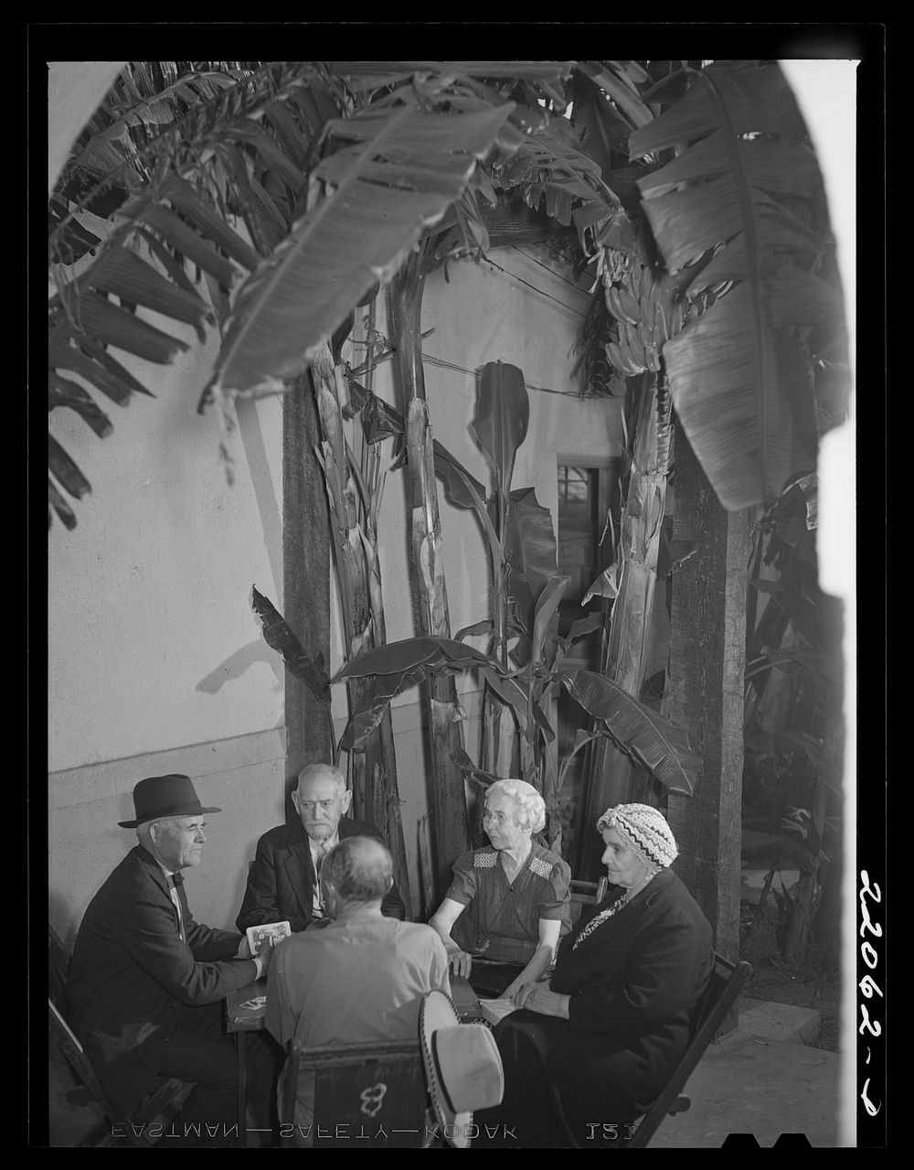 Brownsville, Texas. Winter tourists playing cards at the Chamber of Commerce building. Sourced from the Library of Congress.