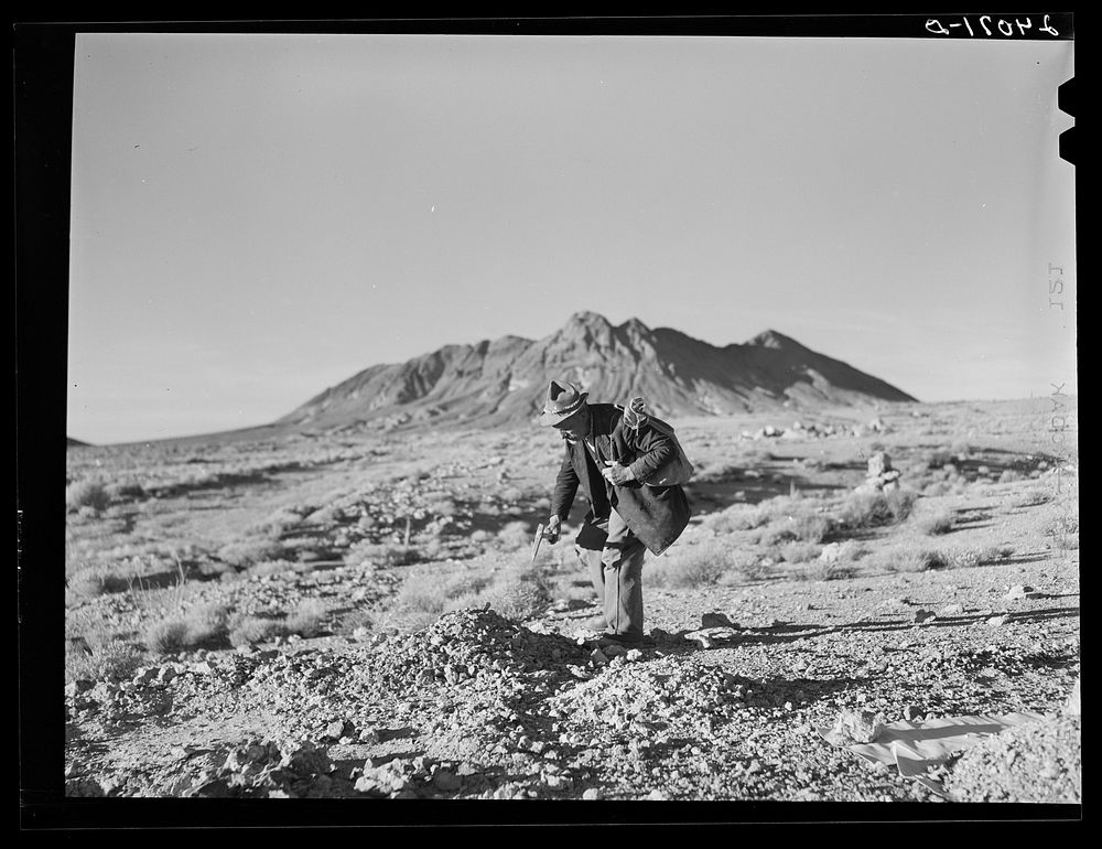 Prospector in the desert. Esmeralda County, Nevada. Sourced from the Library of Congress.