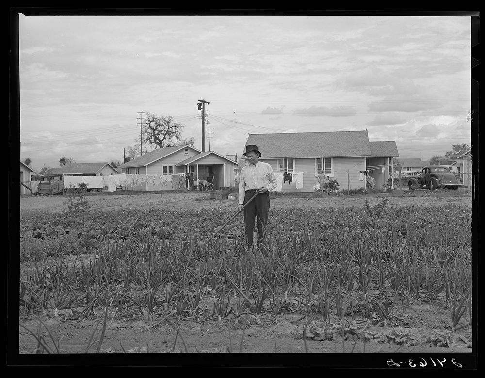 When unemployed, migrants work in labor home gardens. Tulare migrant camp.  Visalia, California. Sourced from the Library of…