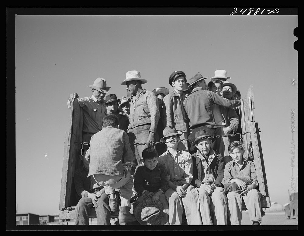 Migratory workers returning from day's work. Robstown camp, Texas. Sourced from the Library of Congress.