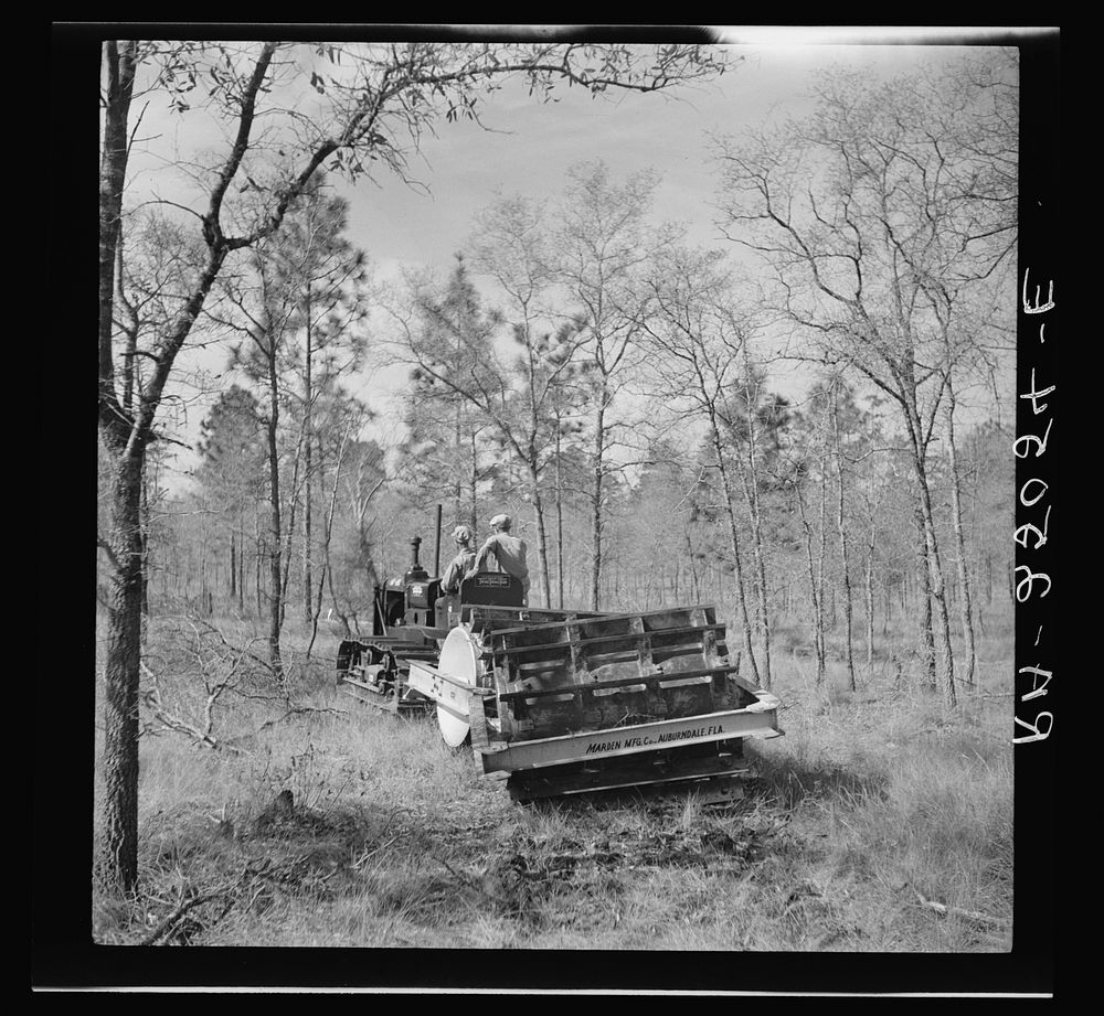 The brush cutter, a tractor pulling five tons of rollers, tears up the ground for seed planting, fire trails and road…