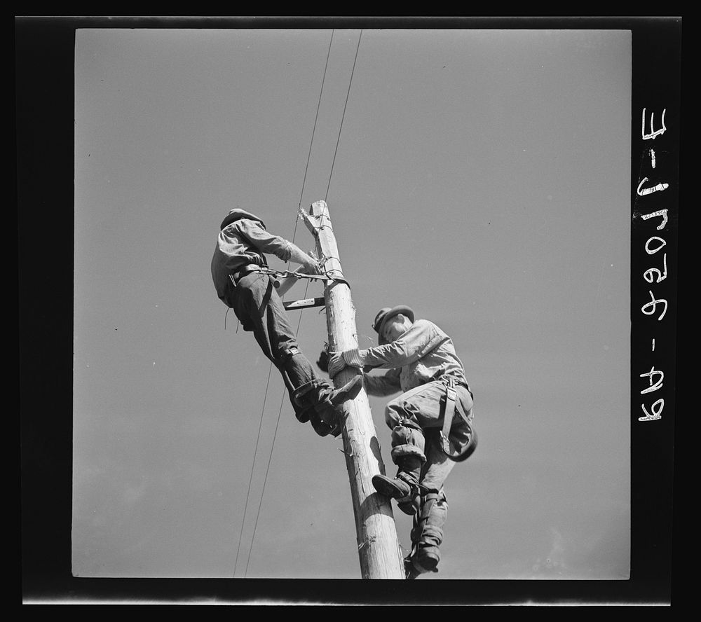 Telephone system used in fighting forest fire. Withlacoochee Land Use Project, Florida. Sourced from the Library of Congress.