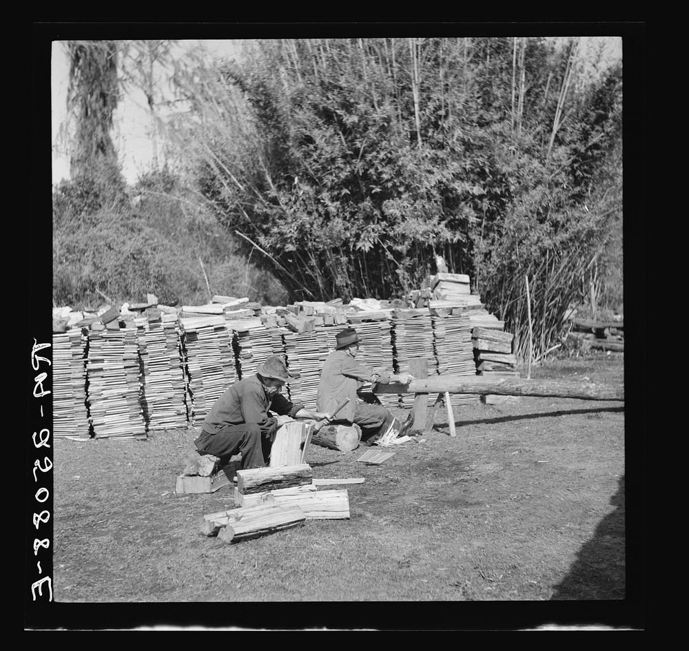 Making shingles by hand. Withlacoochee Land Use Project, Florida. Sourced from the Library of Congress.