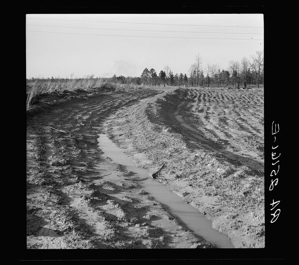 Terrace. Bankhead Farms, Alabama. Sourced from the Library of Congress.