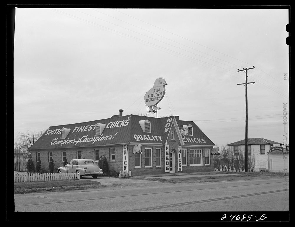 U.S. Highway 80, Texas, between Fort Worth and Dallas. Hatchery. Sourced from the Library of Congress.