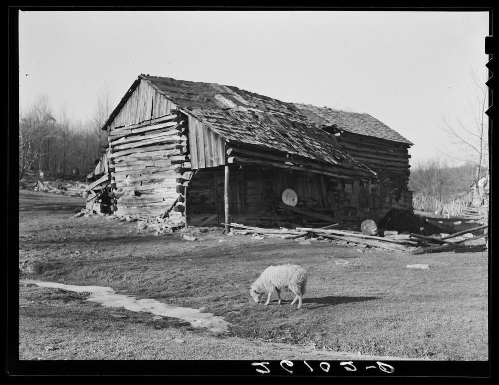 Part of Minnie Knox's farm. Garrett County, Maryland. Sourced from the Library of Congress.