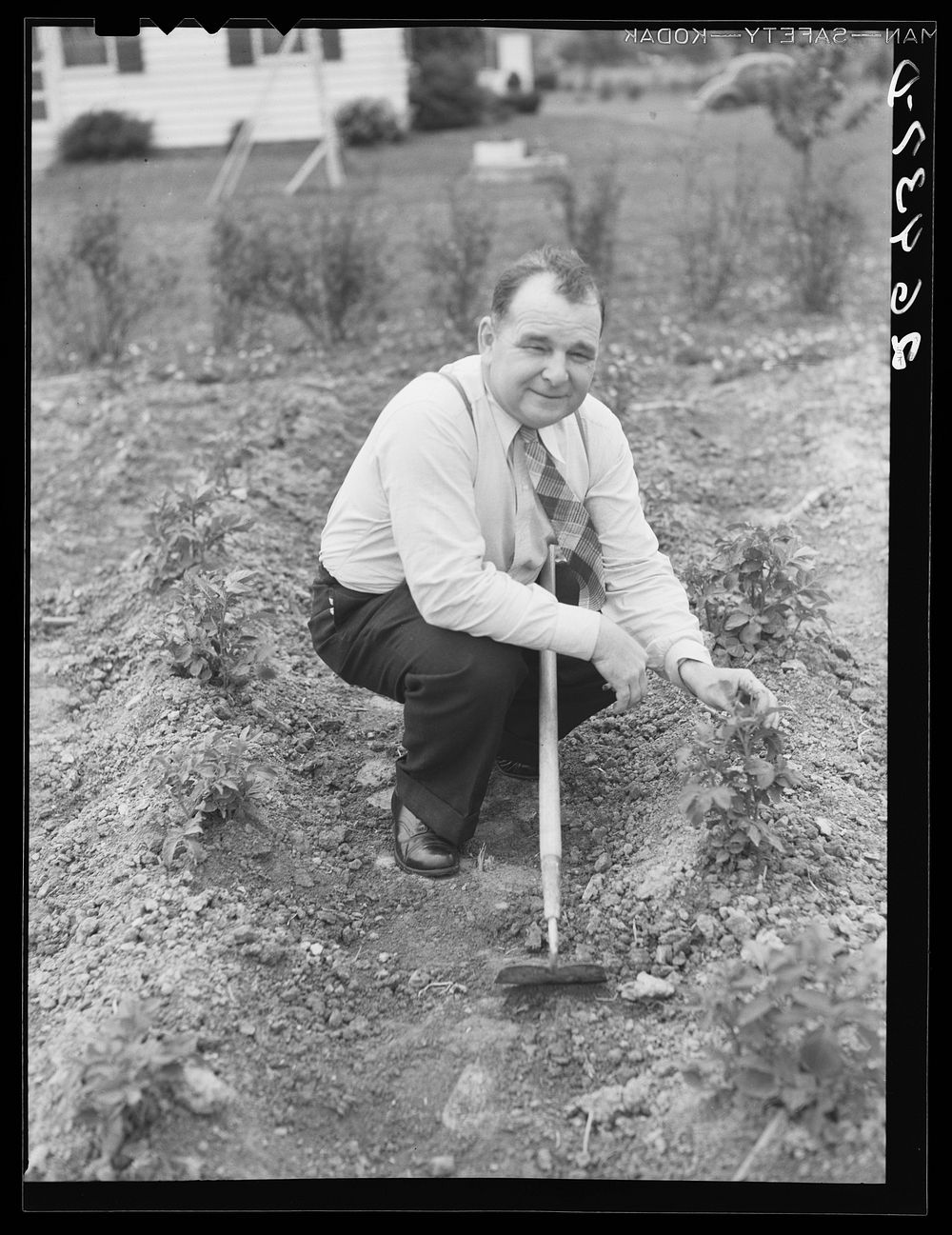 Morris Pingry in his garden. Decatur Homesteads, Indiana. Sourced from the Library of Congress.