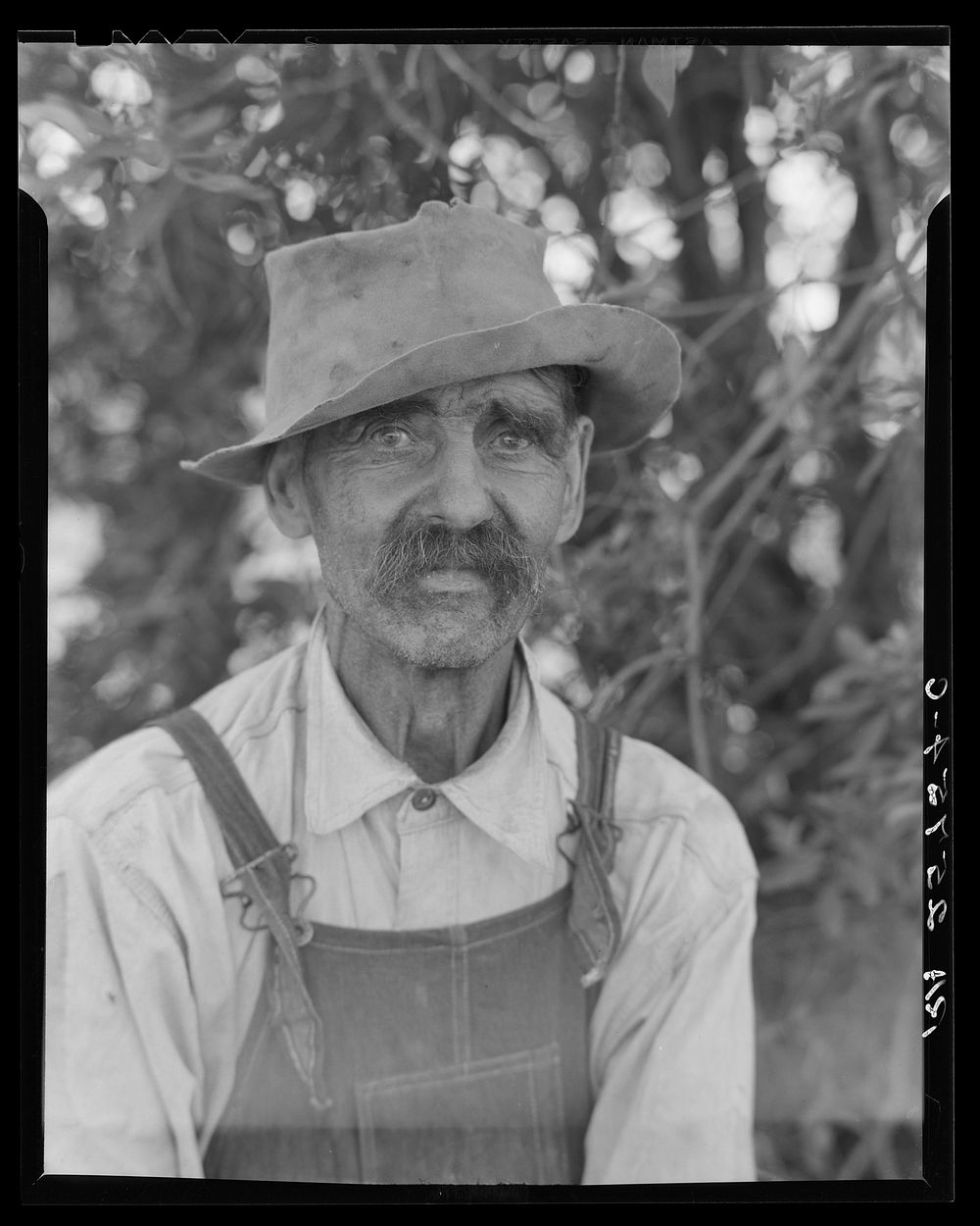 Sam Alexander, stonemason. Hyde Park, Vermont. Sourced from the Library of Congress.