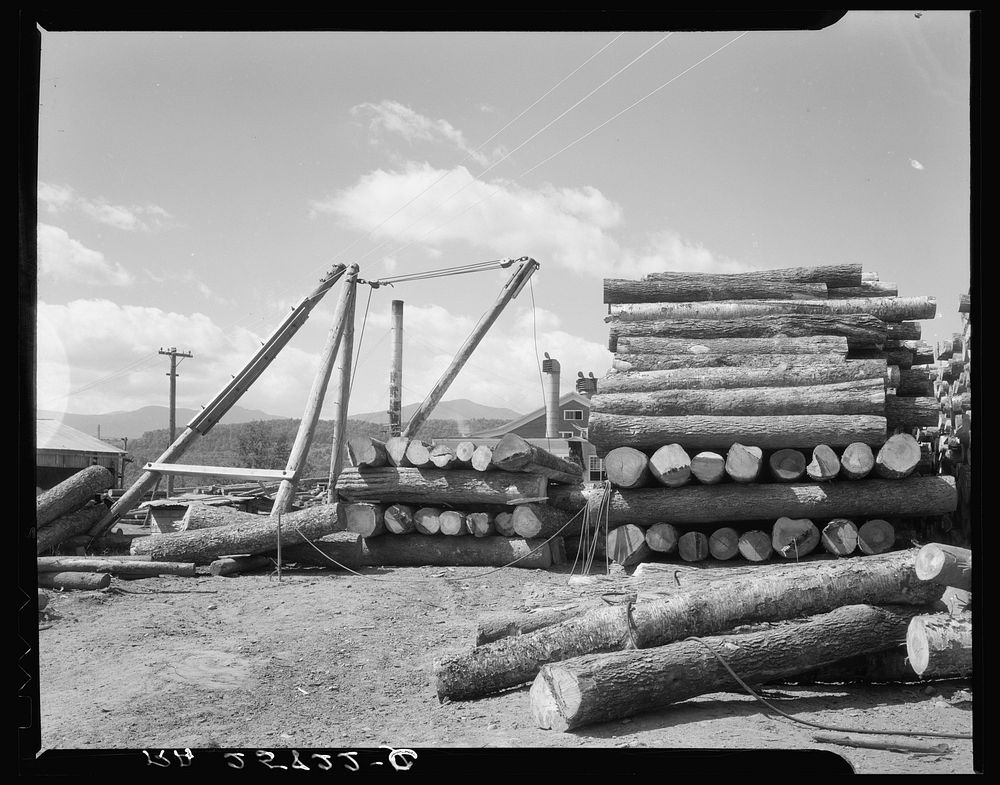 Logs at sawmill at Morrisville, Vermont. Sourced from the Library of Congress.