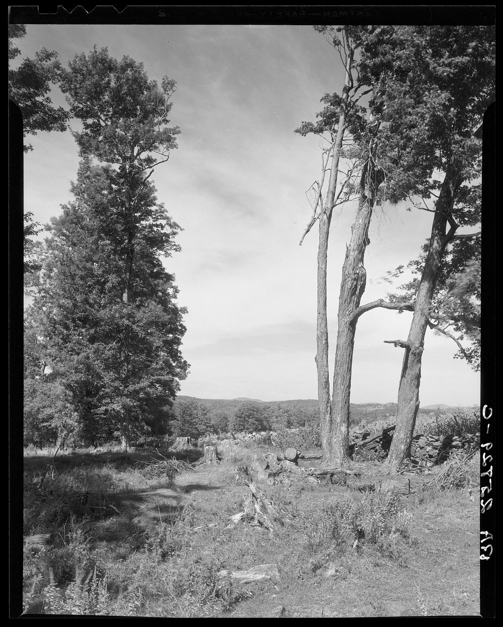 Cut-over land. Chittenden County, Vermont. Sourced from the Library of Congress.