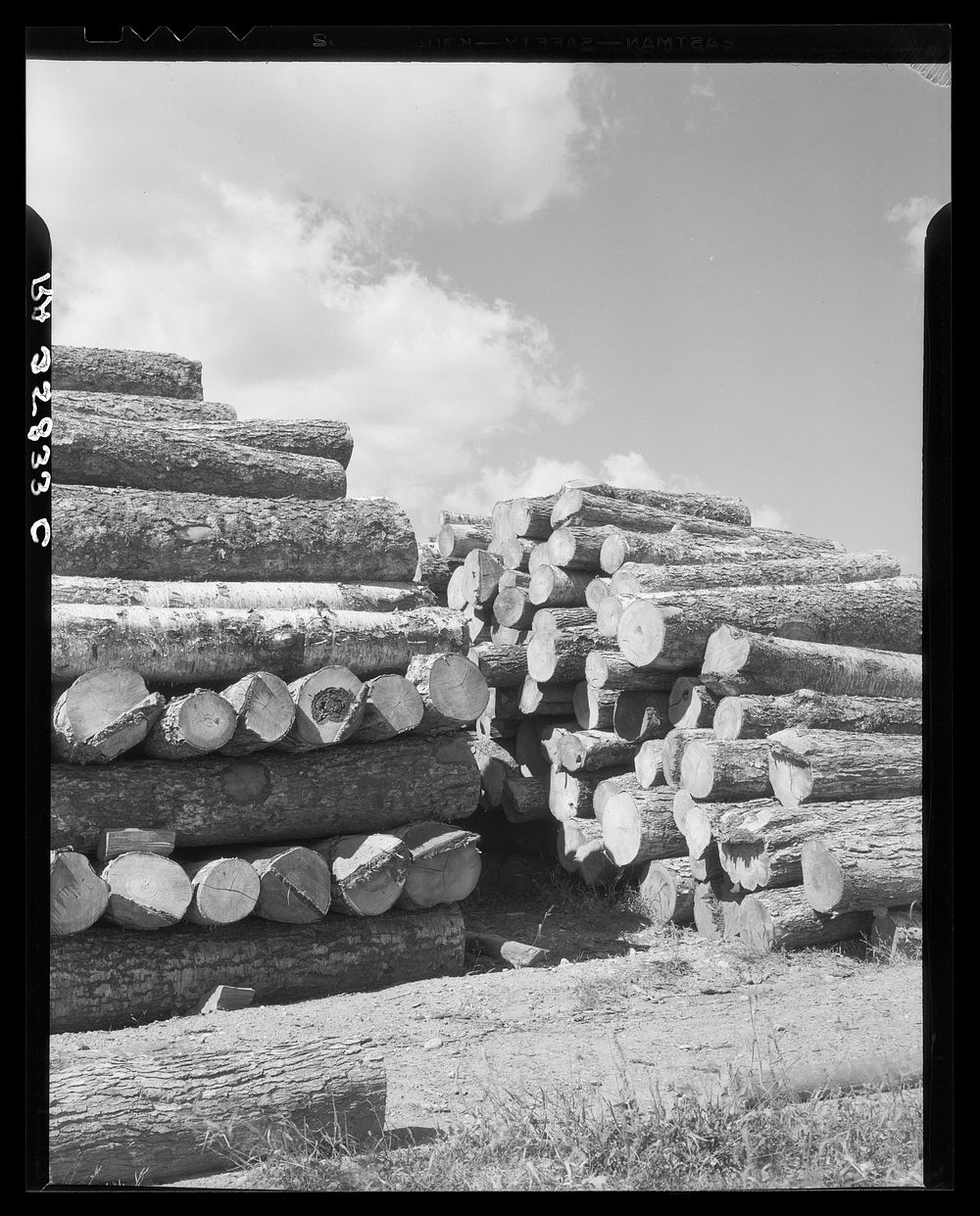 Logs for veneer mill at Morrisville, Vermont. Sourced from the Library of Congress.