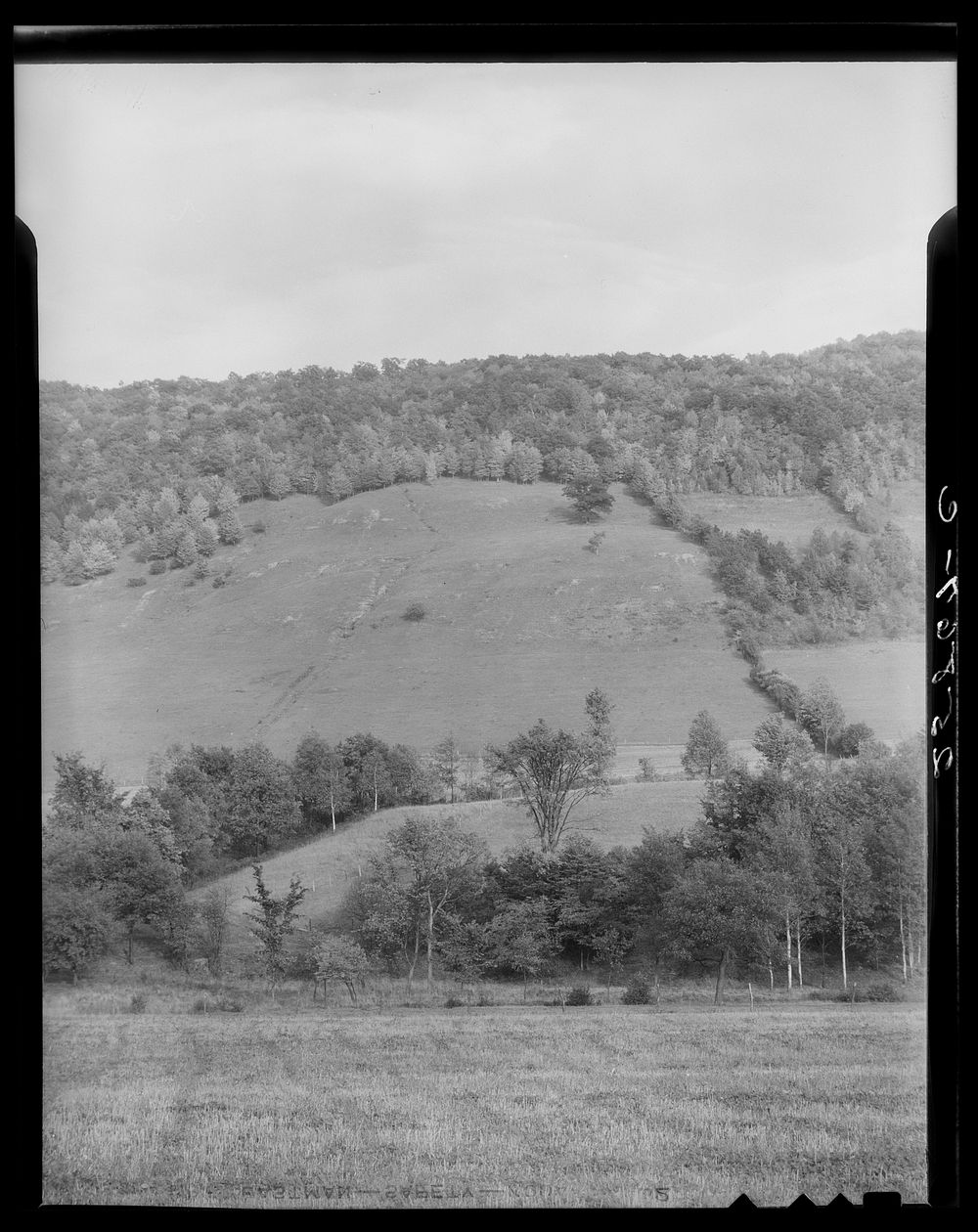 Erosion. Otsego County, New York. Sourced from the Library of Congress.