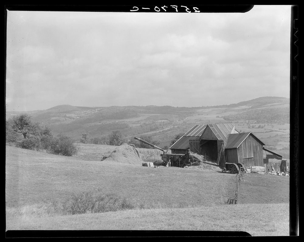 Threshing. Otsego County, New York. Sourced from the Library of Congress.