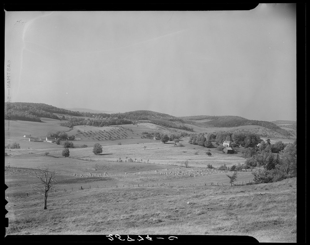 Farmland. Otsego County, New York. Sourced from the Library of Congress.
