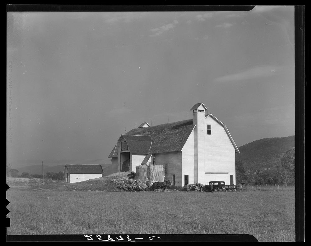 Filling temporary silo. Otsego County, New York. Sourced from the Library of Congress.