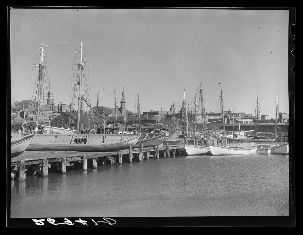 Fishing boats. Gloucester, Massachusetts. Sourced from the Library of Congress.