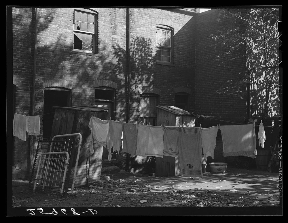 Backyard in  area. Washington, D.C.. Sourced from the Library of Congress.