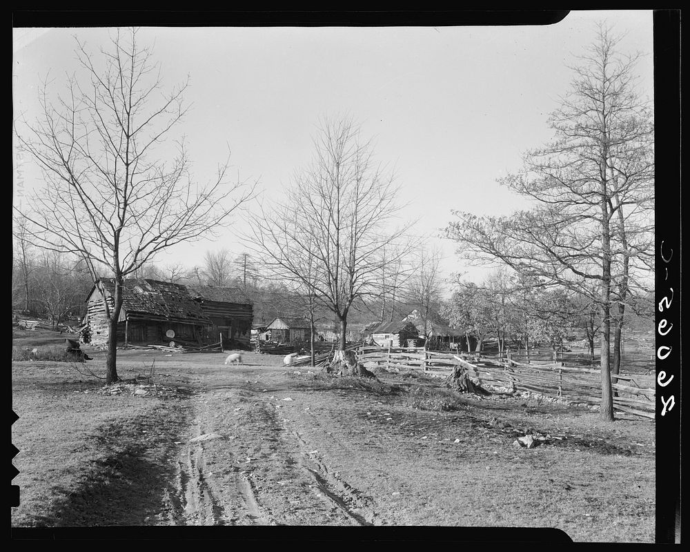 Minnie Knox's farm. Garrett County, Maryland. Sourced from the Library of Congress.