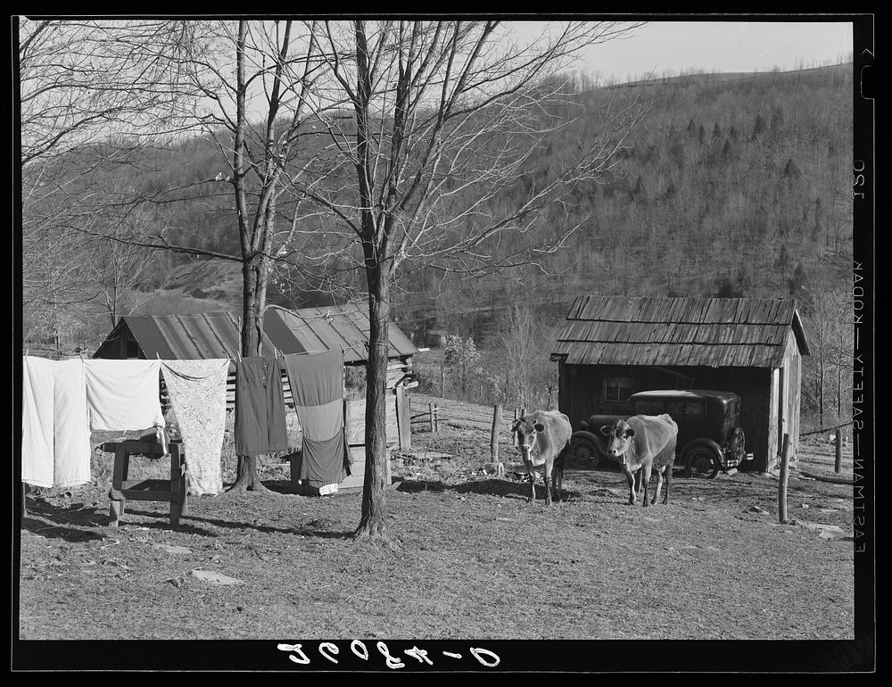 Part of Fred Stein's farm. Garrett County, Maryland. Sourced from the Library of Congress.