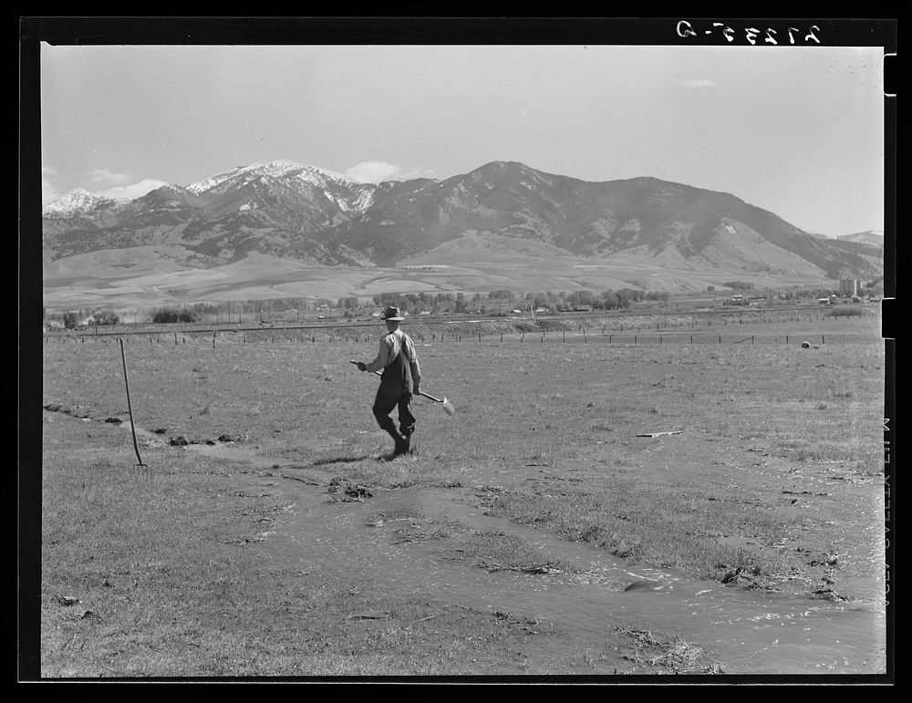 Irrigating in the Gallatin Valley, Montana.. Sourced from the Library of Congress.
