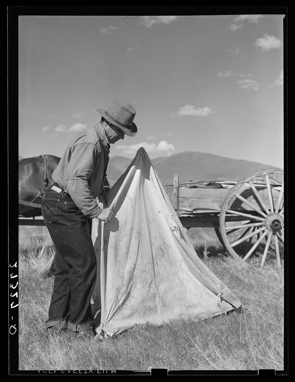 Sheepherder setting up lambing tent. Montana, Madison County. Sourced from the Library of Congress.