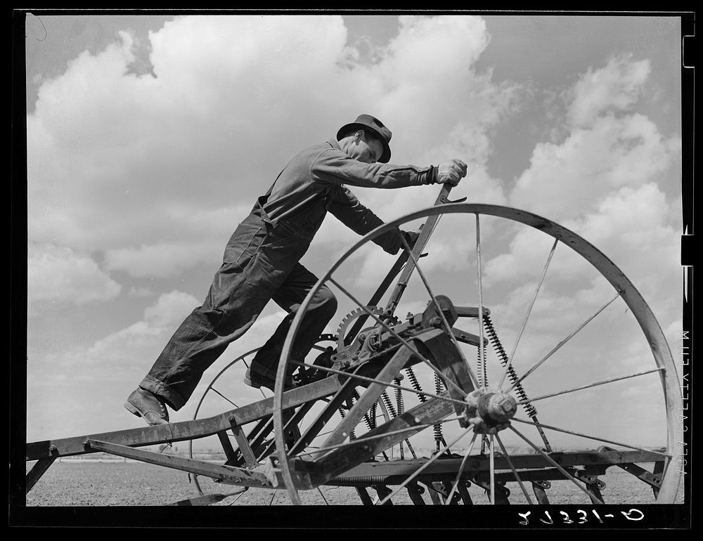 Farmer adjusting cultivator. Fairfield Bench Farms, Montana. Sourced from the Library of Congress.