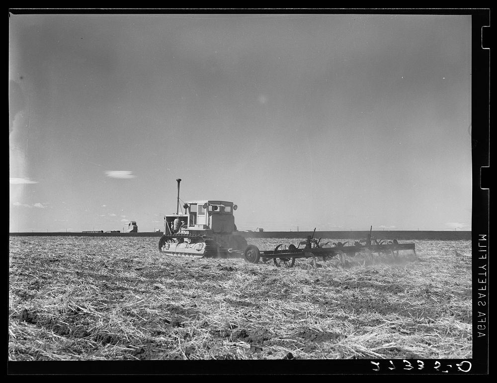 Tractor pulling a noble blade along a fallow strip on Henry Sheffels' farm. Cascade County, Montana. Sourced from the…