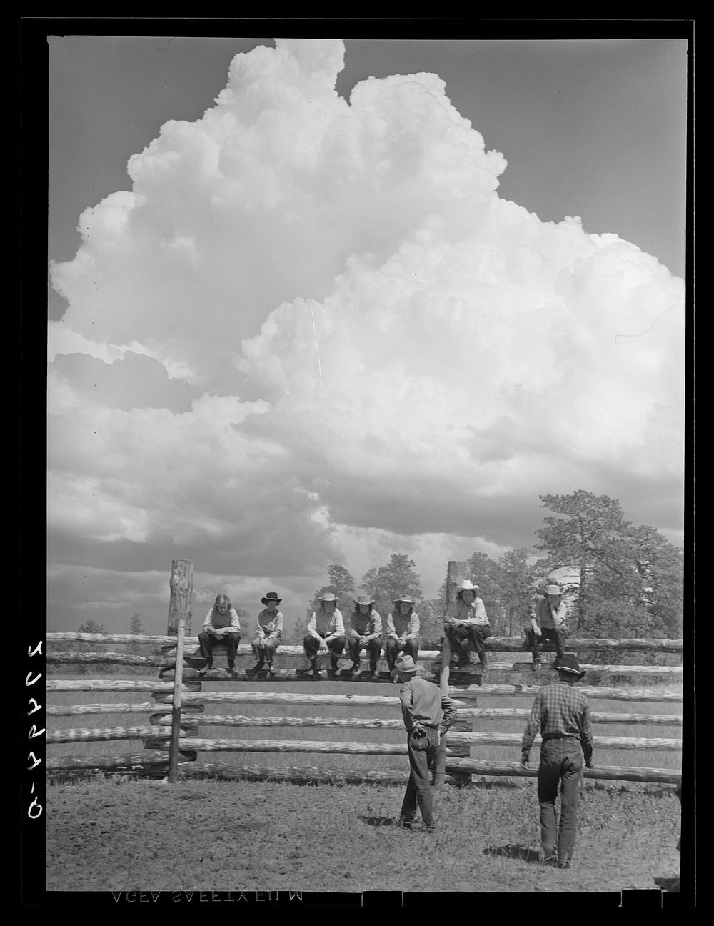 [Untitled photo, possibly related to: Breeding a calf. Three Circle Ranch roundup. Montana]. Sourced from the Library of…