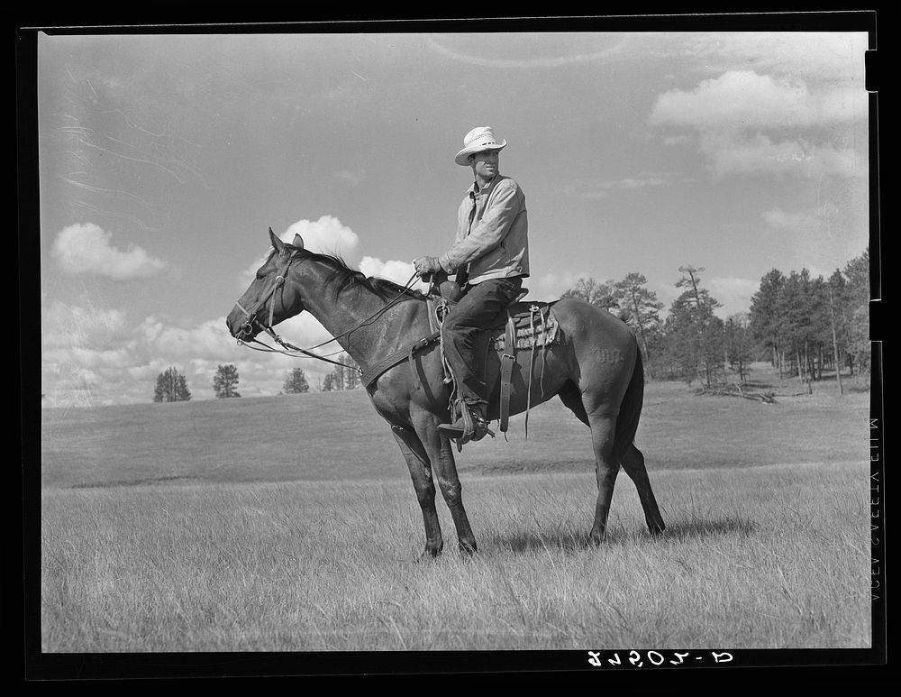 Cowhand at Three Circle roundup. Custer Forest, Montana. Sourced from the Library of Congress.