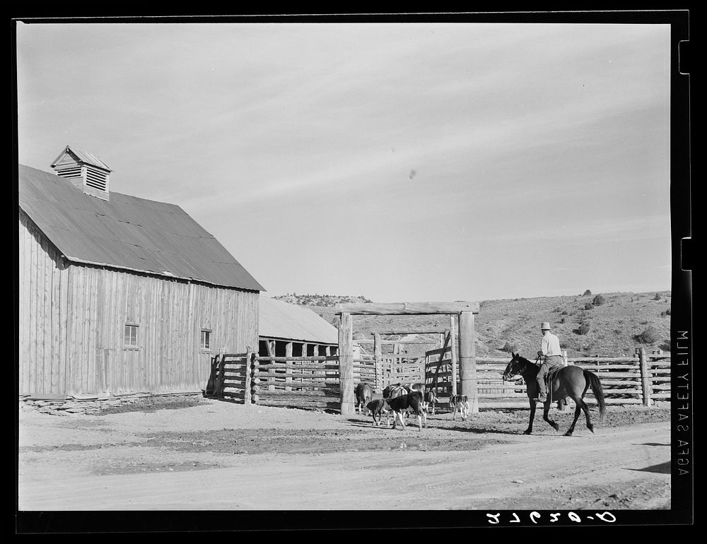 [Untitled photo, possibly related to: Barn and corral. Quarter Circle 'U' Ranch, Montana]. Sourced from the Library of…