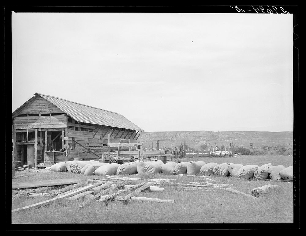 Wool sacks at sheepshearing pen. Rosebud County, Montana. Sourced from the Library of Congress.