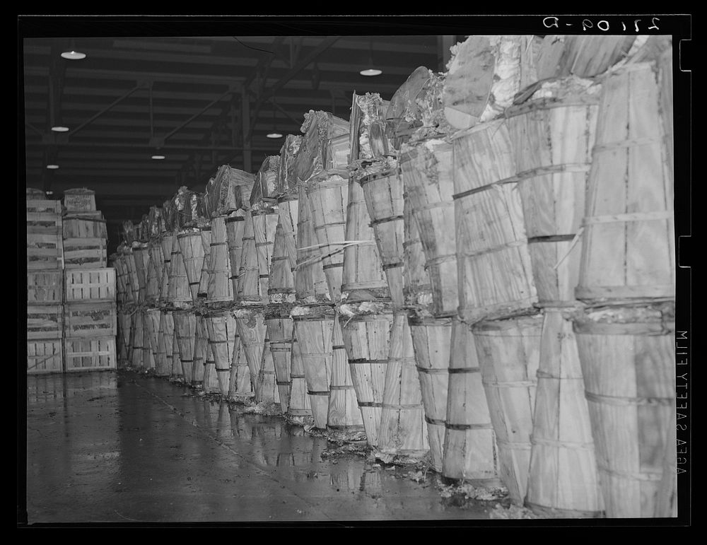 Crates of green vegetables at produce market. Pier 29, New York City. Sourced from the Library of Congress.