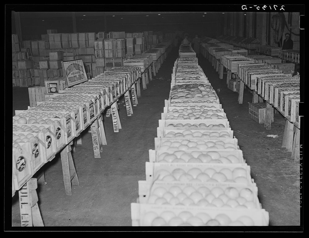 Oranges at produce market. Pier 29, New York City. Sourced from the Library of Congress.