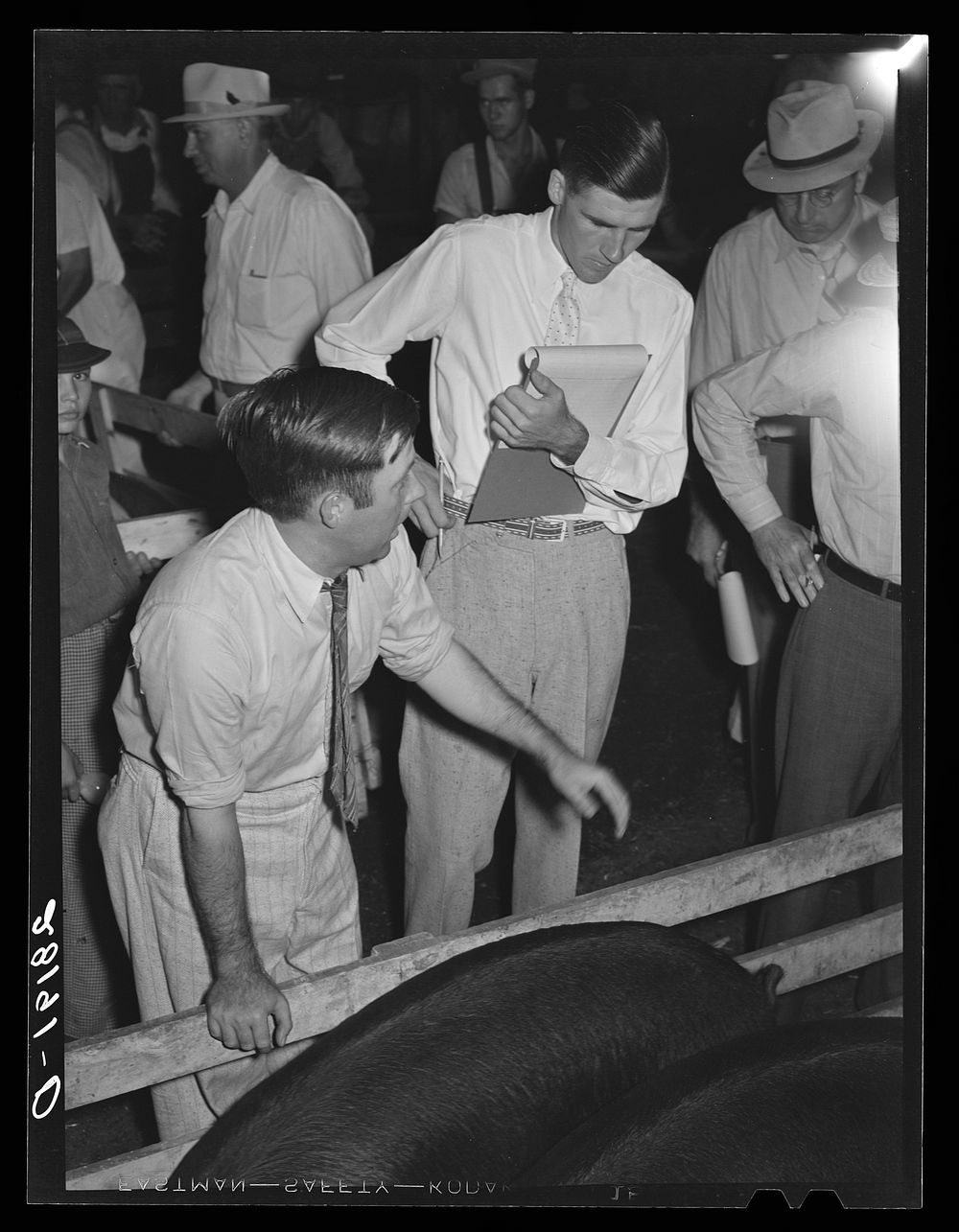 [Untitled photo, possibly related to: Hog auction. Central Iowa Fair, Marshalltown, Iowa]. Sourced from the Library of…