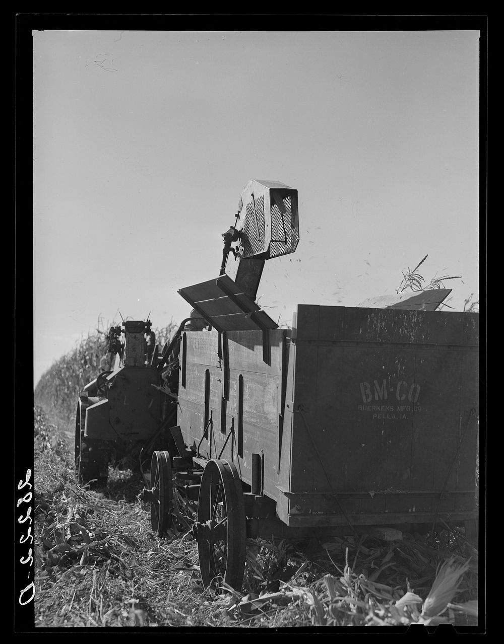 [Untitled photo, possibly related to: Mechanical corn picker harvesting hybrid seed corn. Robinson farm, Marshall County…