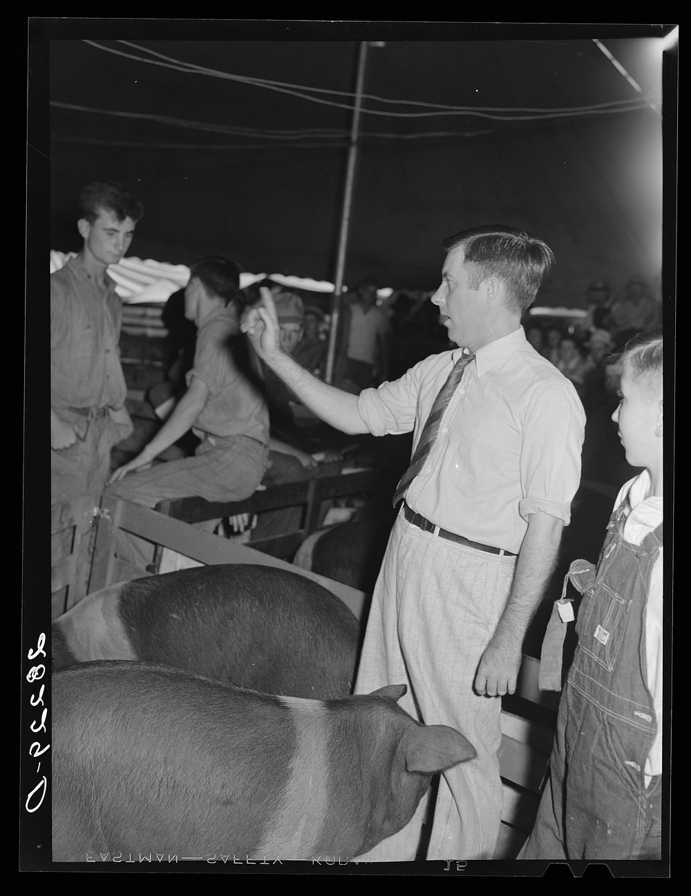 Auctioneer at hog sale. Central Iowa Fair, Marshalltown, Iowa. Sourced from the Library of Congress.