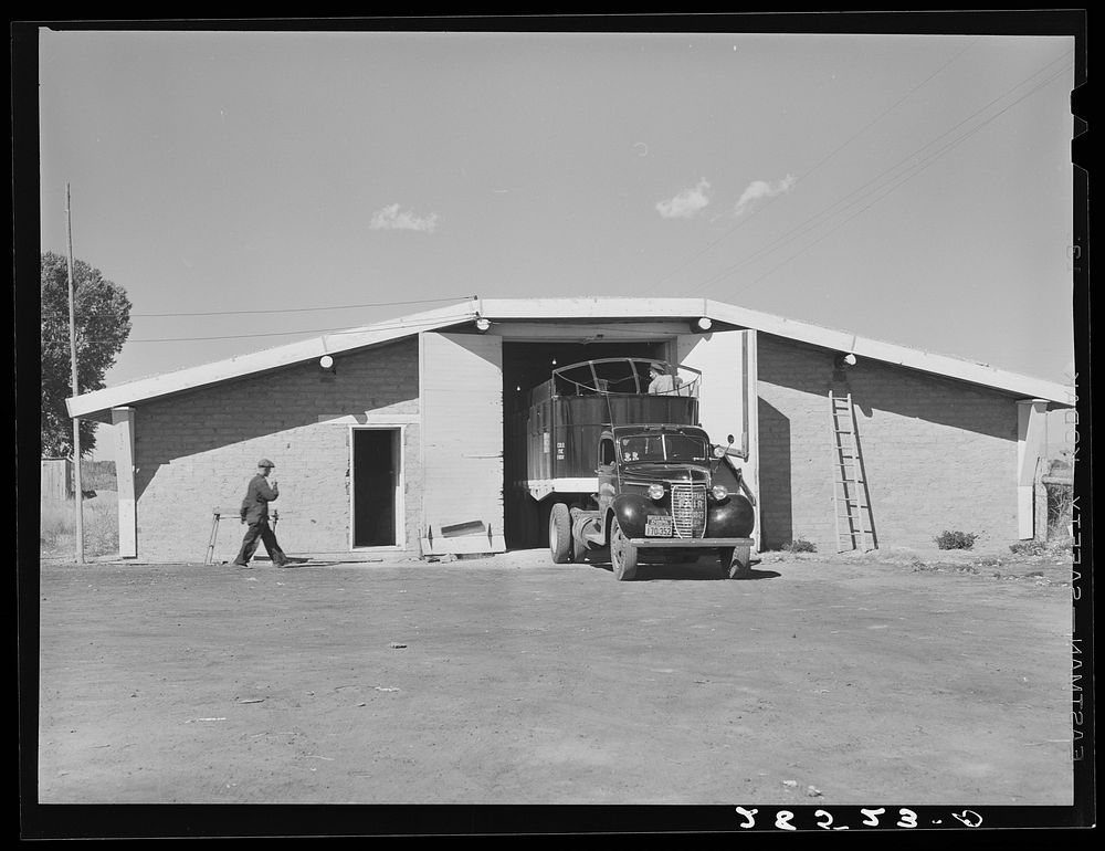 Truck loading potatoes at storage cellar. Monte Vista, Colorado. Sourced from the Library of Congress.