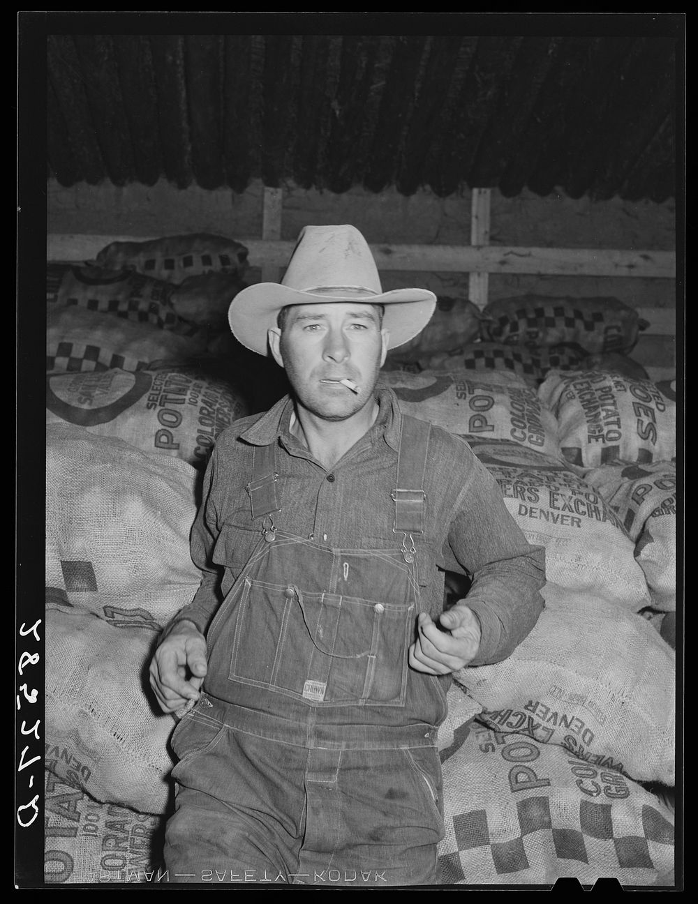 Farmer in potato cellar. Monte Vista, Colorado. Sourced from the Library of Congress.
