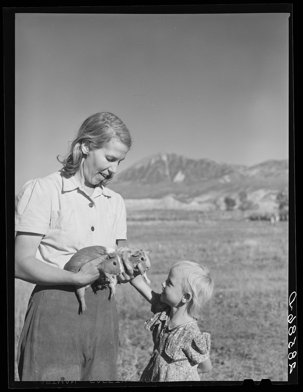 Mrs. Tom Reilly, wife of FAS (Farm Security Administration) rehabilitation client, with daughter and guinea pigs. Near…