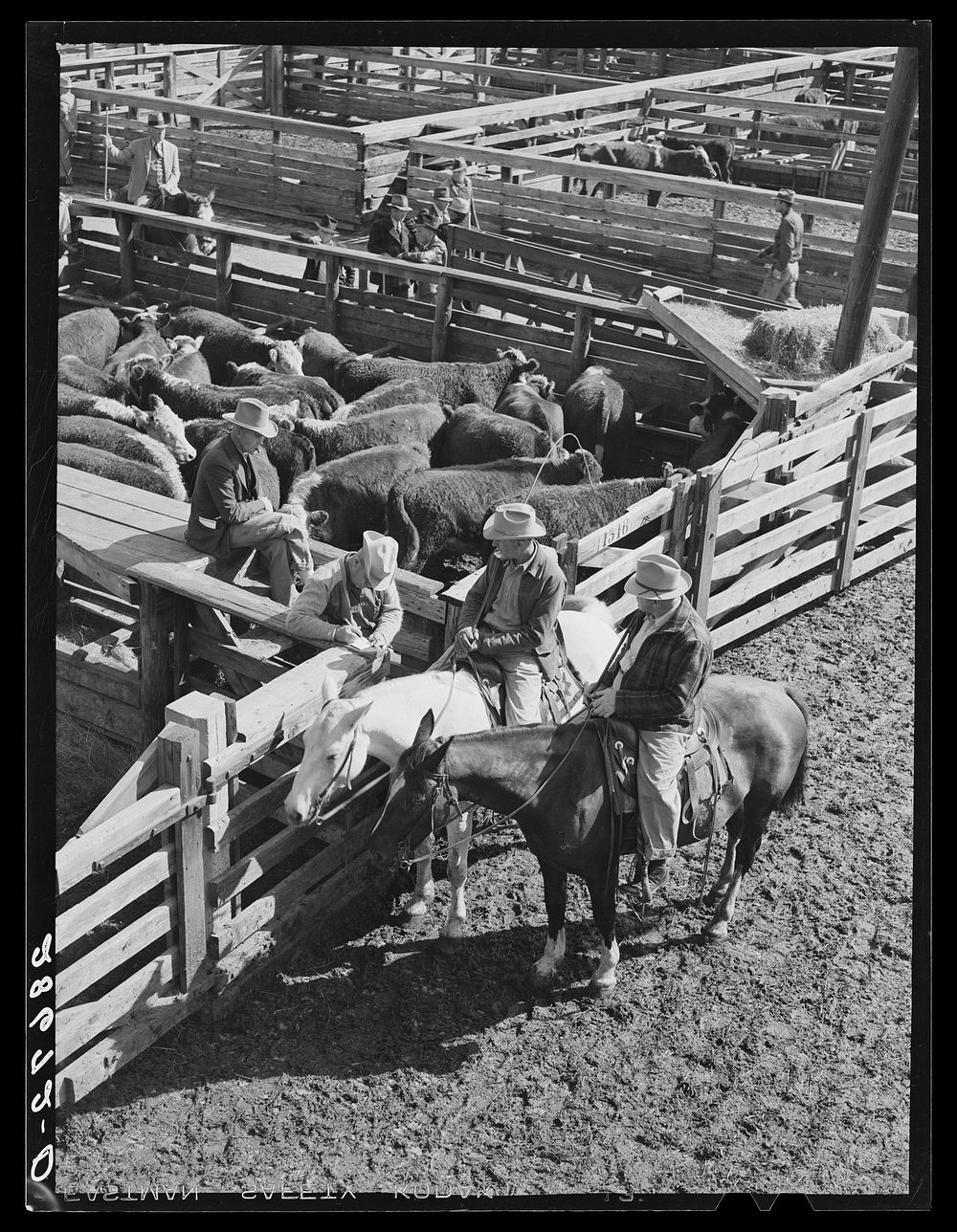 Making sale. Stockyards, Denver, Colorado. Free Photo rawpixel