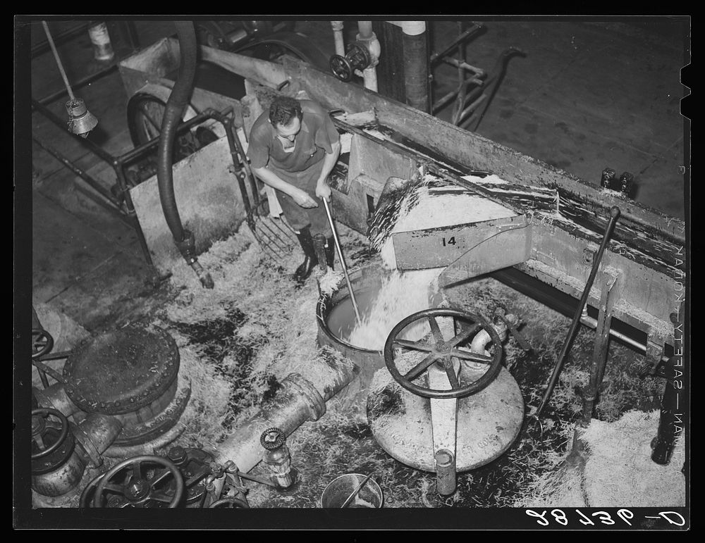 Loading diffusion chamber with sugar beet pulp in factory at Brighton, Colorado. Sourced from the Library of Congress.