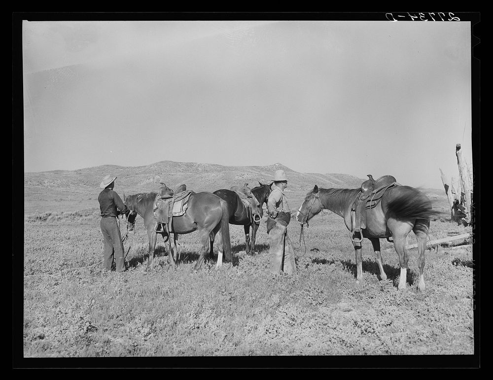 Saddling horses for the roundup. William Tonn ranch, Custer County, Montana. Sourced from the Library of Congress.