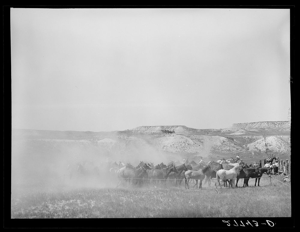 Rope corral. Quarter Circle 'U' Roundup. Big Horn County, Montana. Sourced from the Library of Congress.