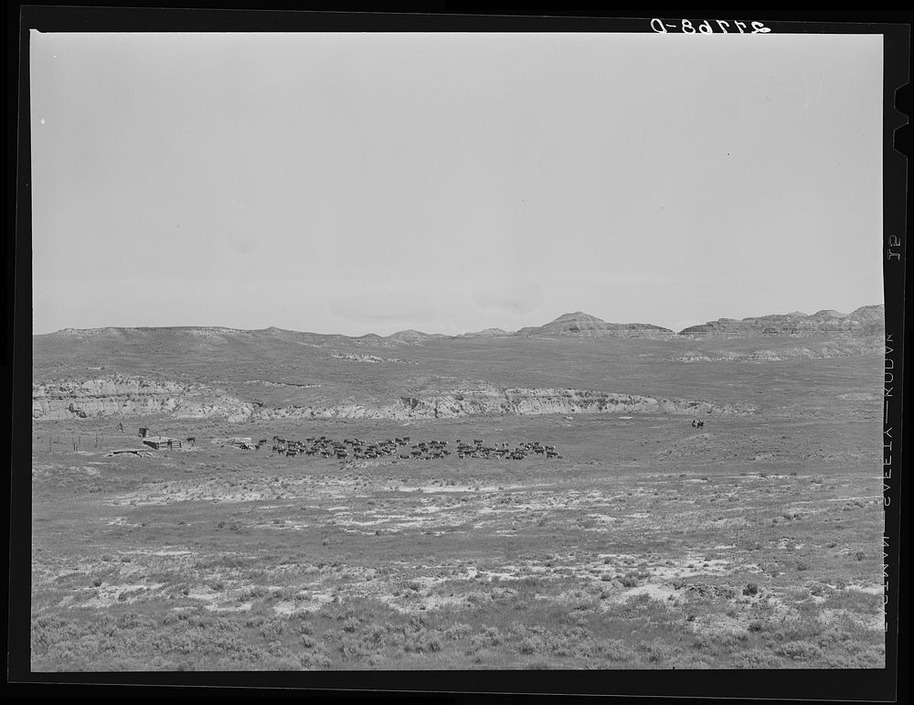 William Tonn ranch, Custer County, Montana. Sourced from the Library of Congress.