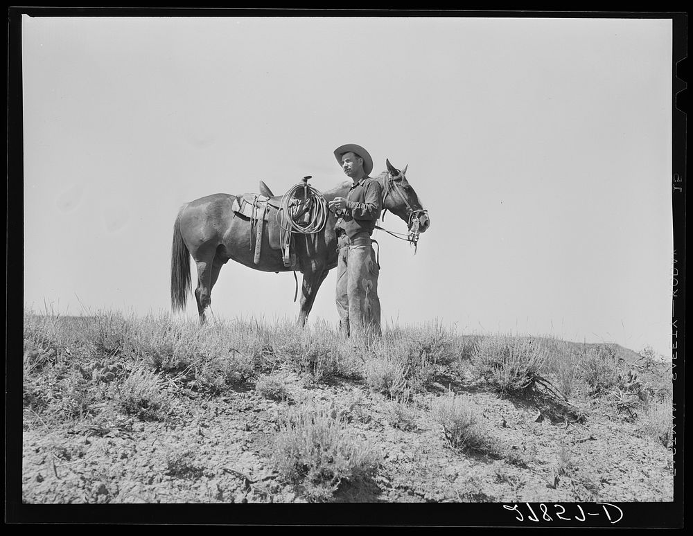 Cowhand. William Tonn ranch, Custer County, Montana. Sourced from the Library of Congress.