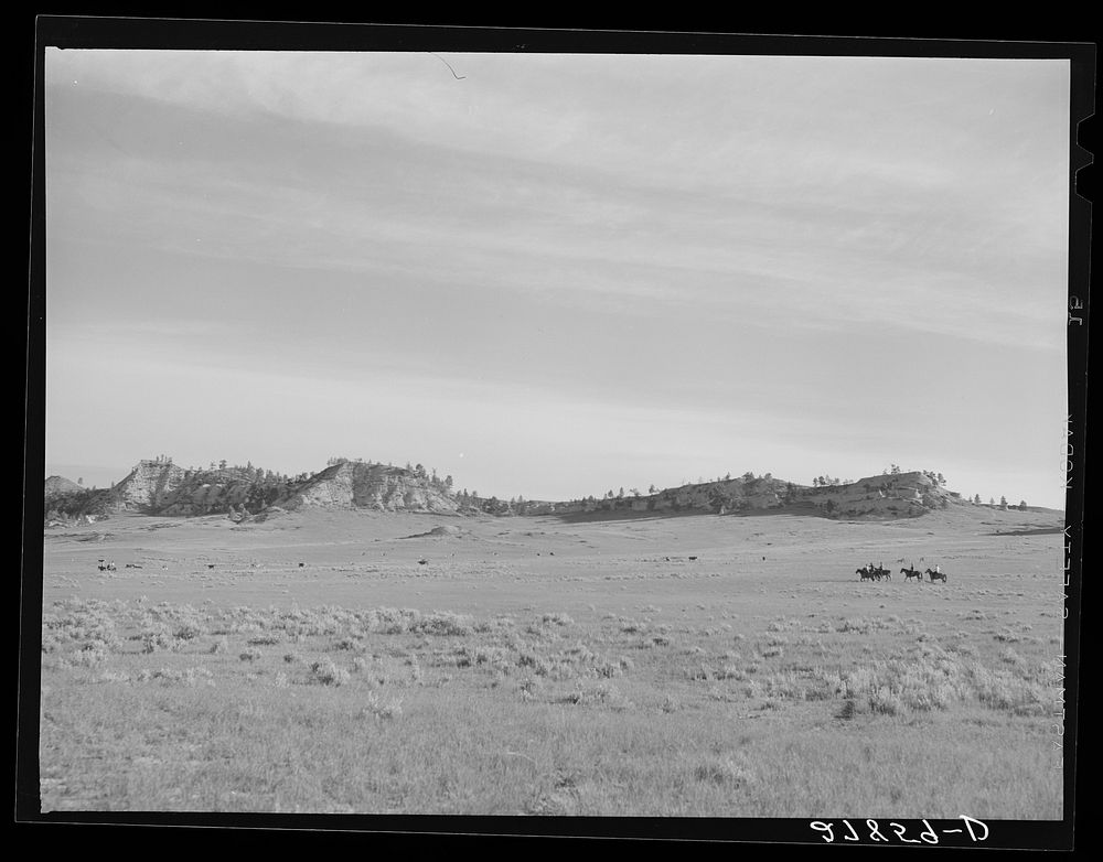 Cowhands on the range. Quarter Circle 'U' Ranch roundup. Big Horn County, Montana. Sourced from the Library of Congress.