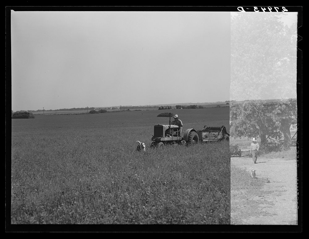 [Untitled photo, possibly related to: Farmer pulling disc and harrow across plowed field. Kimberley farm, Jasper County…