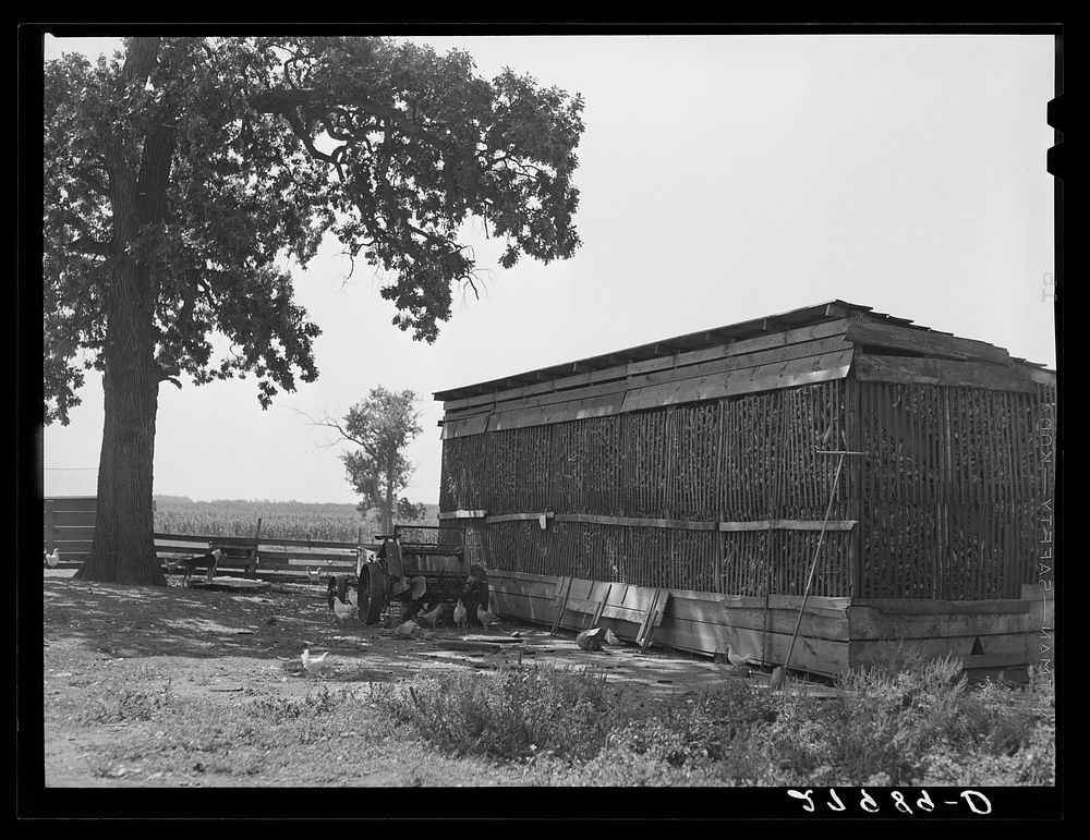 Corn crib. Grundy County, Iowa. Sourced from the Library of Congress.