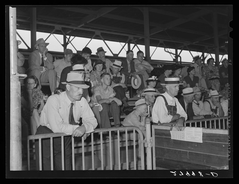 Spectators at judging of Poland China boars. Iowa State Fair, Des Moines, Iowa. Sourced from the Library of Congress.