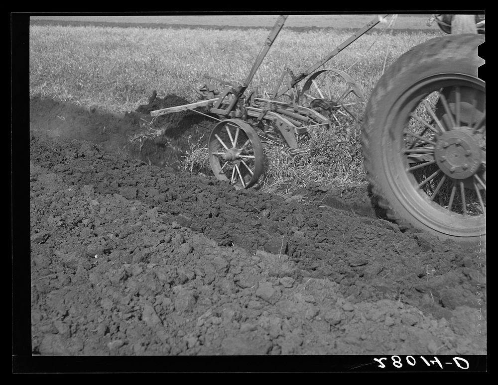 Plowing. Story County, Iowa. Sourced from the Library of Congress.
